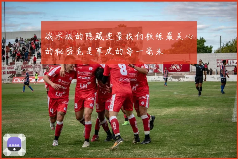 战术板的隐藏变量我们教练最关心的秘密竟是草皮的每一毫米